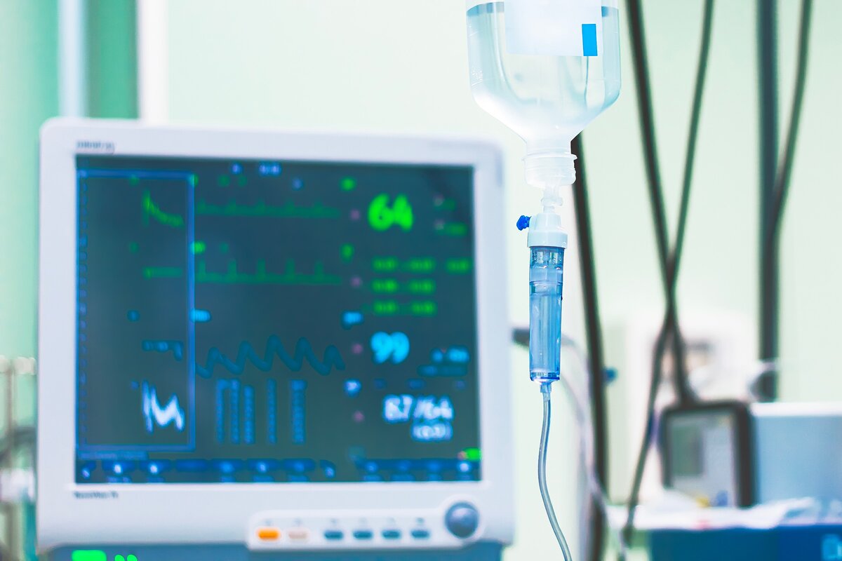 Daria Photostock. shutterstock.com