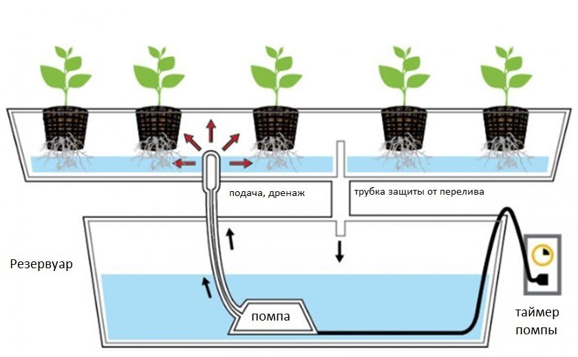 Гидропонная система из канализационных труб ПВХ: как собрать своими руками?