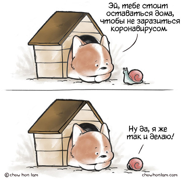 Источник: www.instagram.com/flyingmouse365/