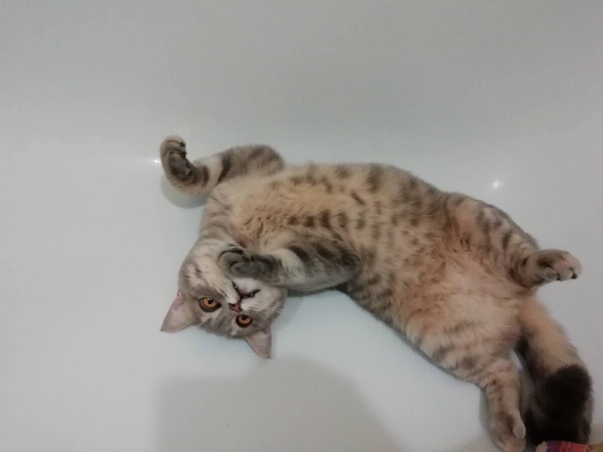 Кузя 
