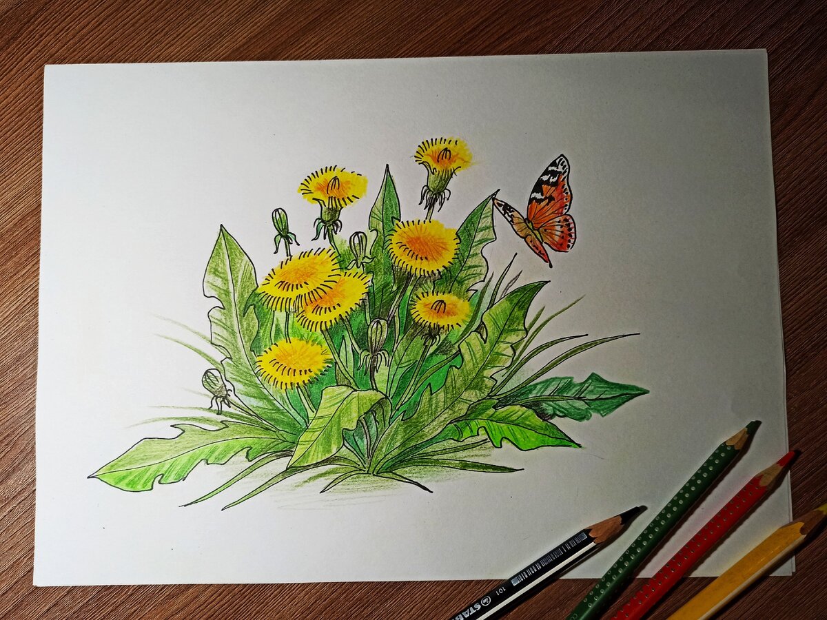 фото рисунка автора