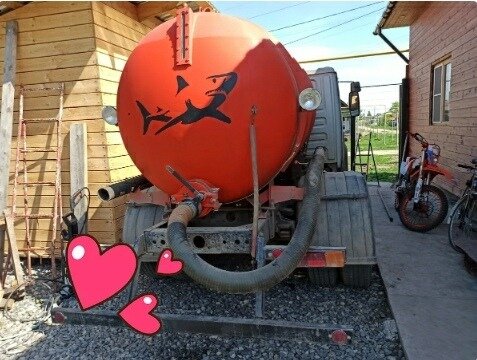 Клёвая акула!