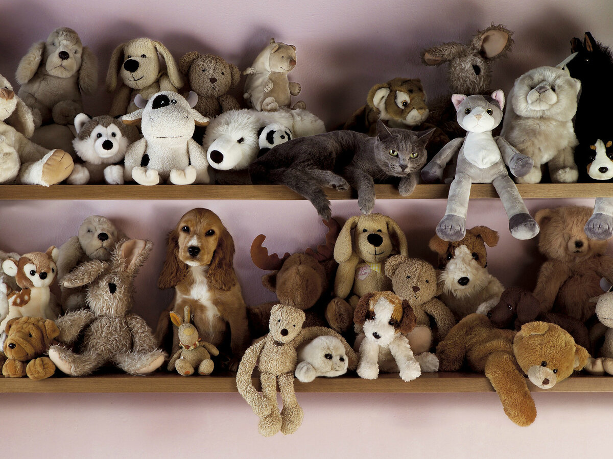 Тебе мерещится. Я плюшевый мишка. 