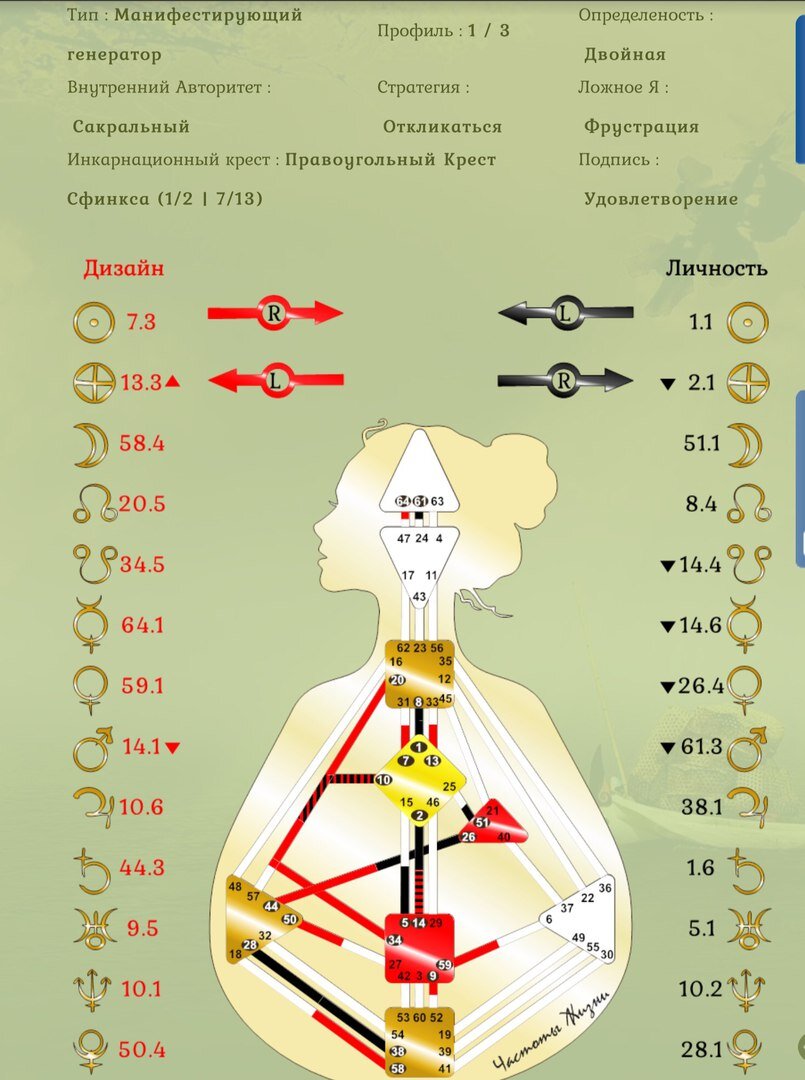 Систем дизайна человека 