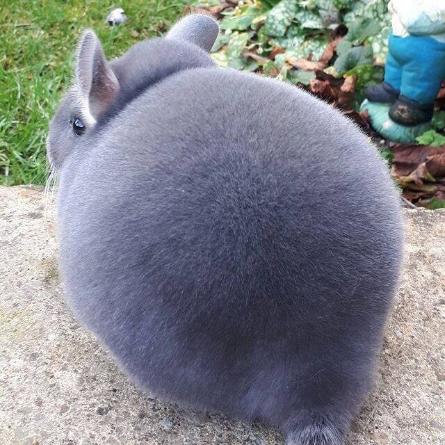 Источник: vk.com