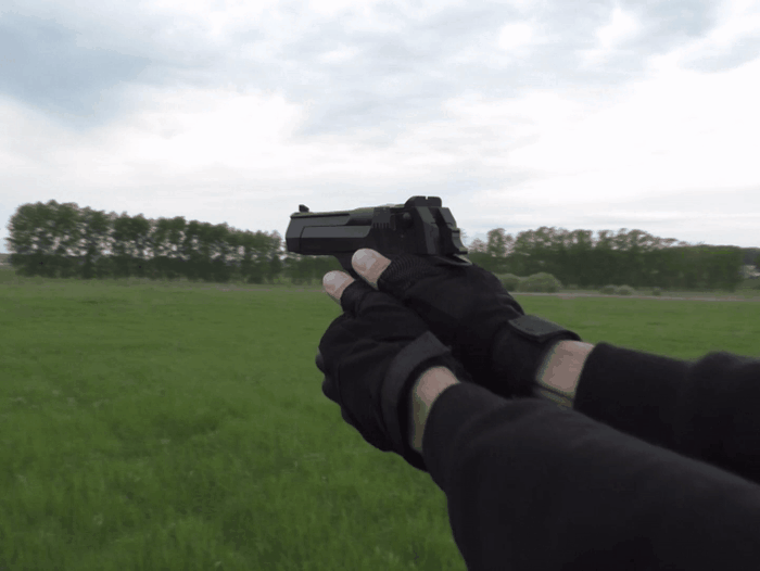 Стрельба EAGLE KURS 2,5