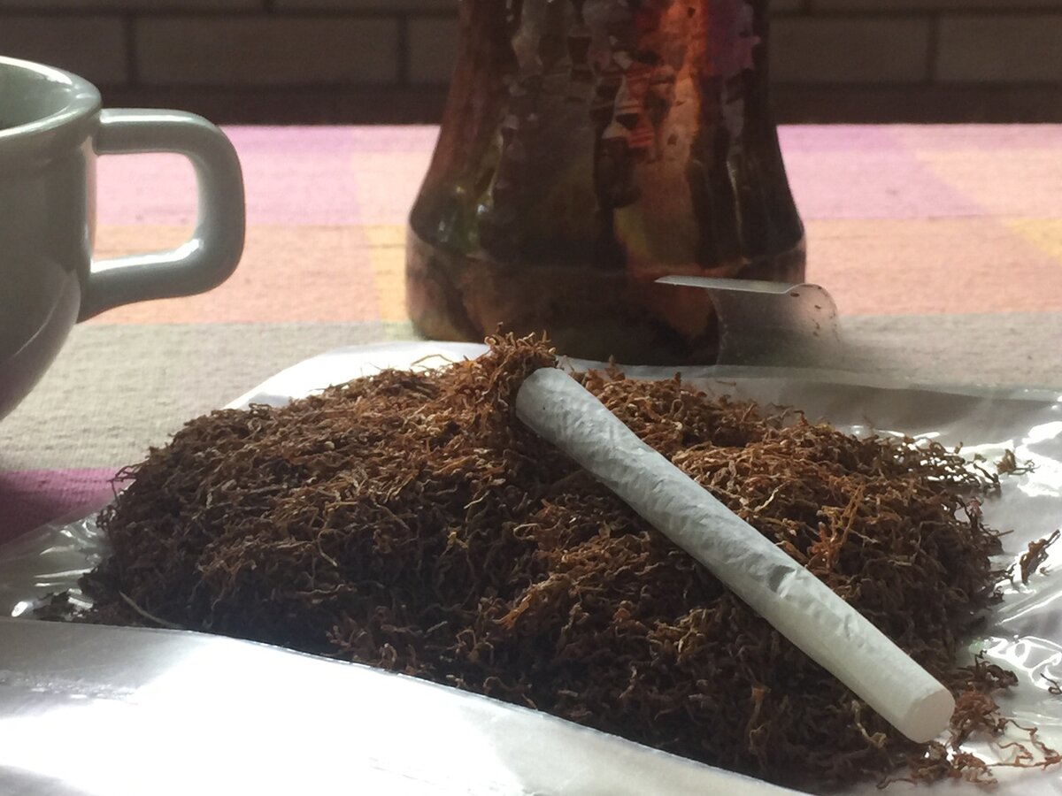 Как сделать самокрутку из бумаги и чая. Бумага для косяков. Самодельная сигарета из чая. Самокрутки. Курительный чай.