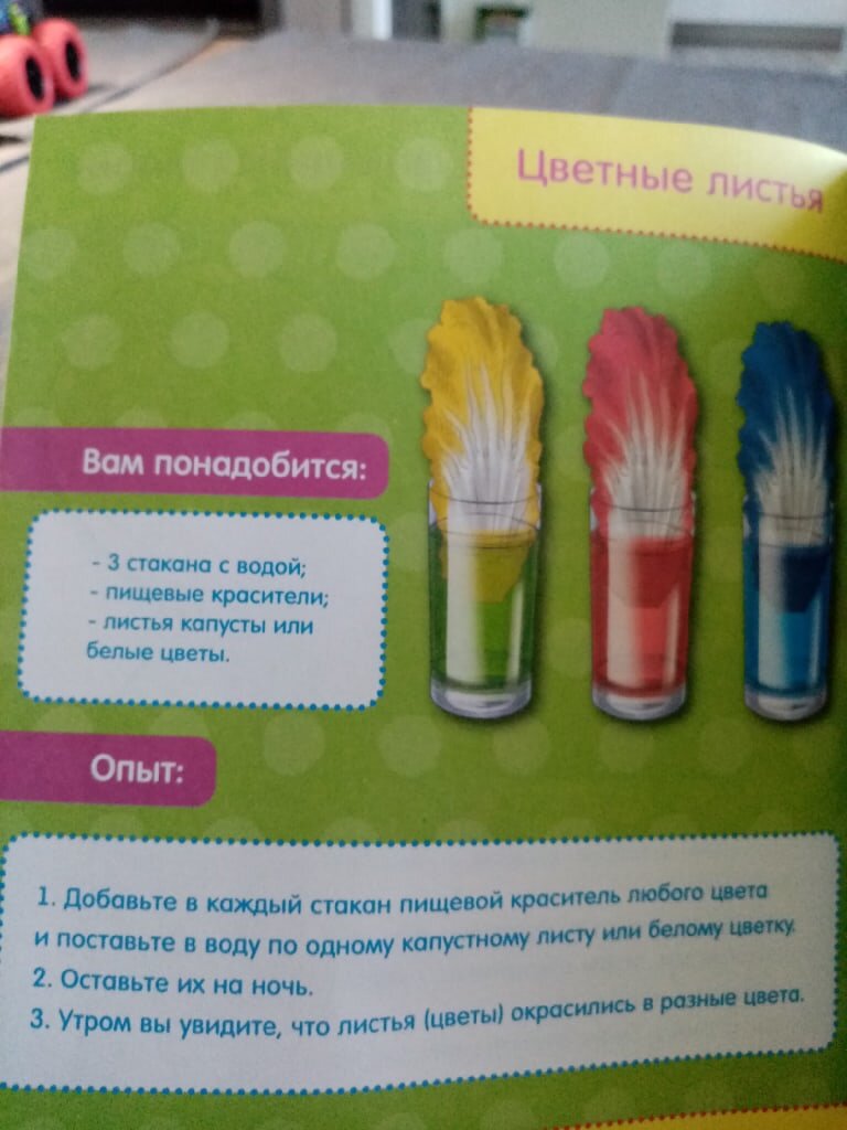 Опыты с пищевыми красителями. Что получилось, а что нет. | На своем опыте |  Дзен