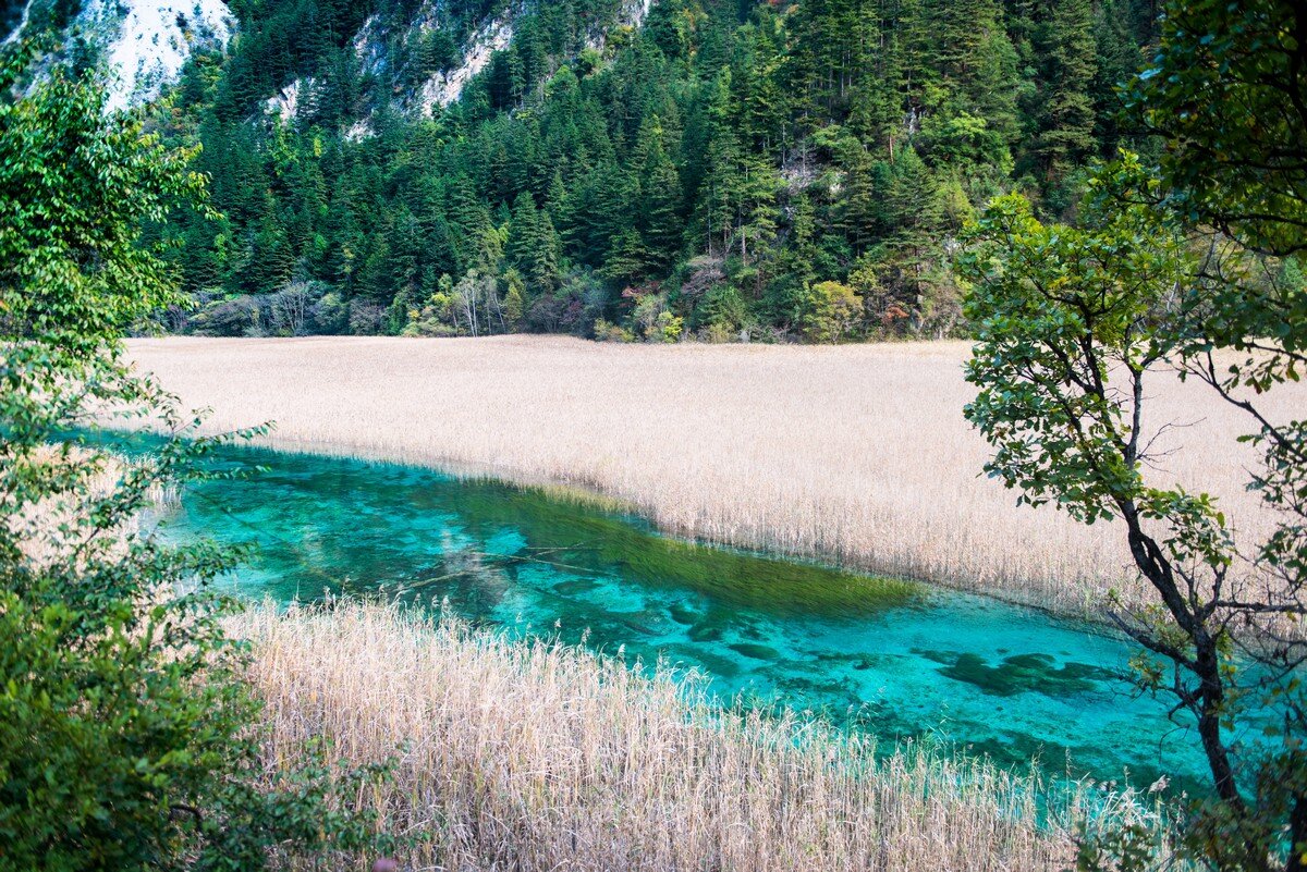 Долина цзючжайгоу долина девяти. Алтай аккем хребет дракона. Долина цзючжайгоу (провинция сычуань). Долина 9. Долина 9.