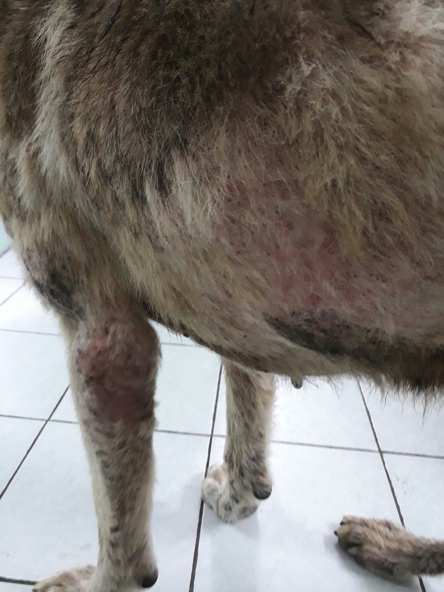 Фото Графа в клинике