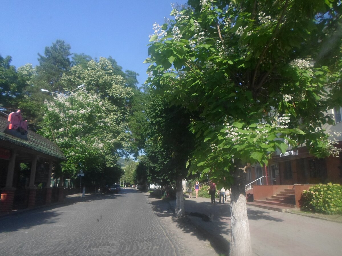 Виноградов