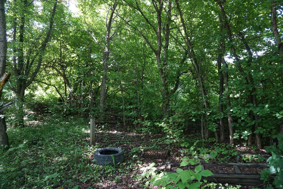 Заброшенный парк