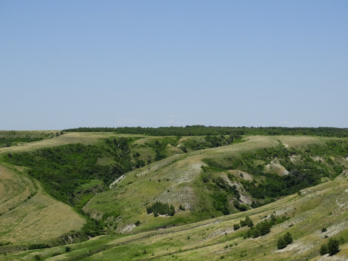 Щербаковская балка