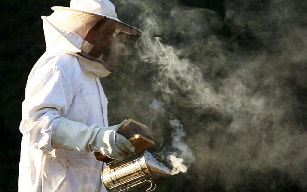 И дым может быть эффективным средством от клеща. (Фото из свободного доступа.)