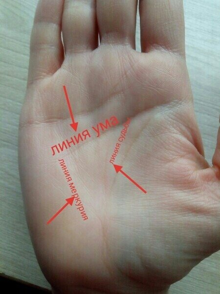 на ладони линия хиромантия детей. хирология линия брака. линия брака на руке. хиромантия линия замужества на руке. хиромантия линия детей.