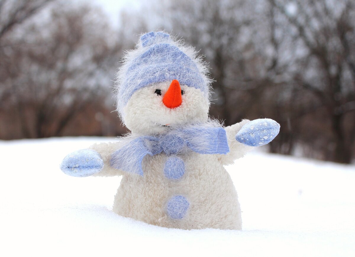 https://pixabay.com/images/id-1072189/