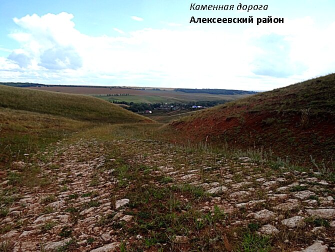 Оренбургская область, Алексеевский район.