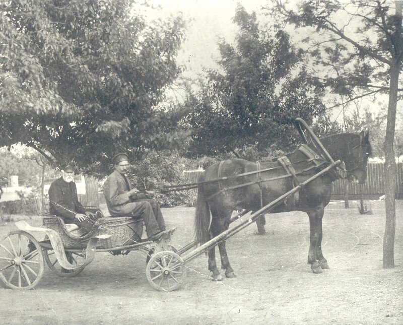 Фото с сайта www.mich-u.net