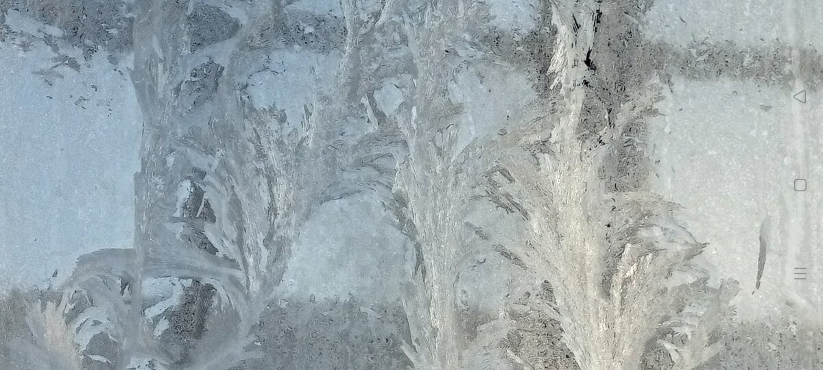 (Личное фото автора)