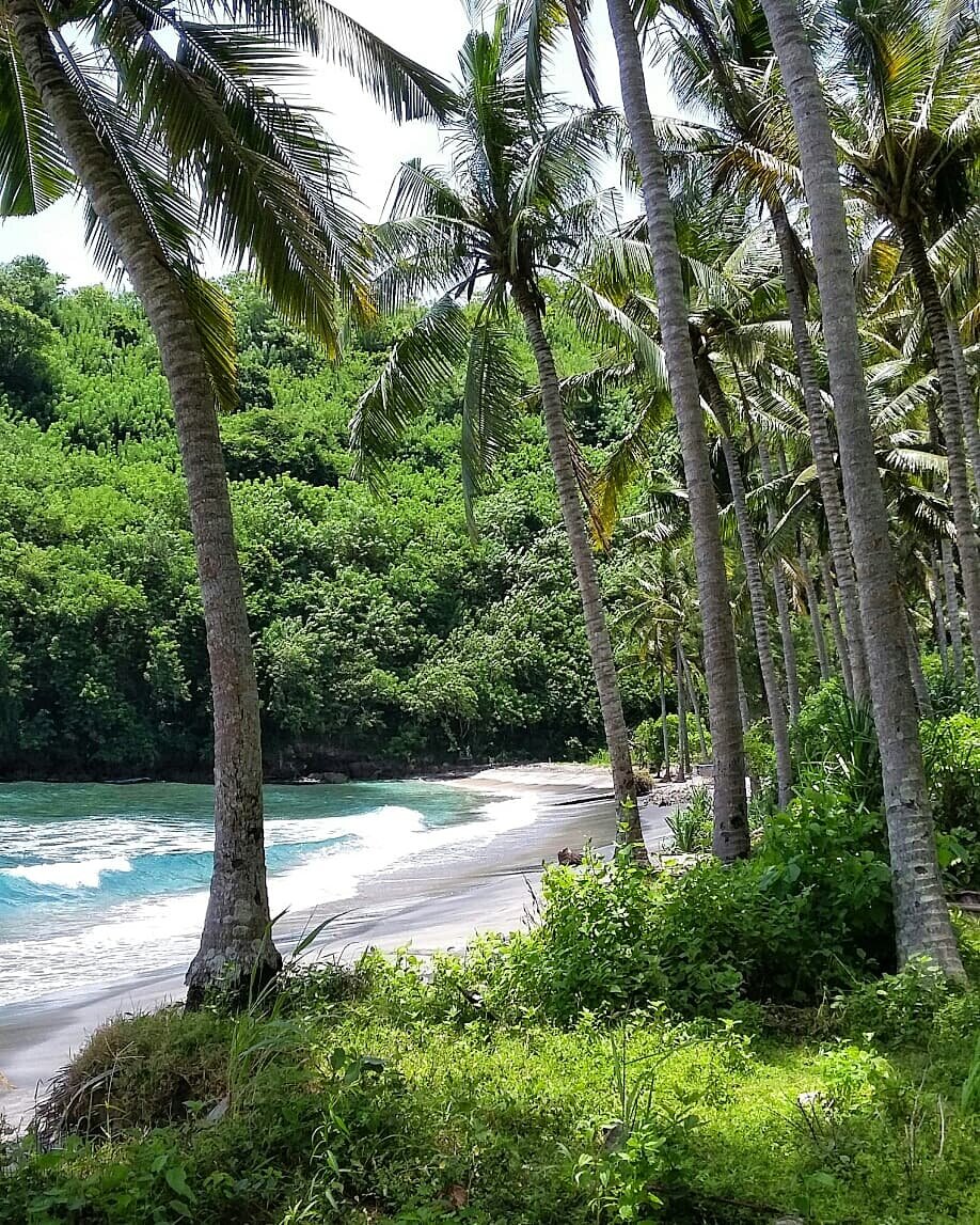 Дикая бухта Гамат острова Нуса Пенида