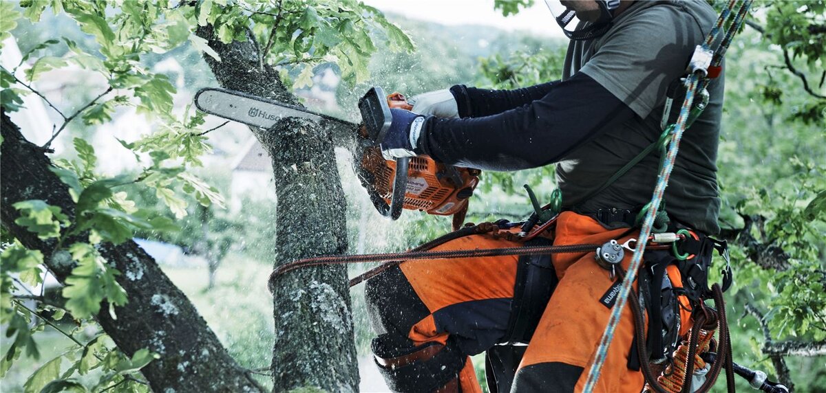 Tree services