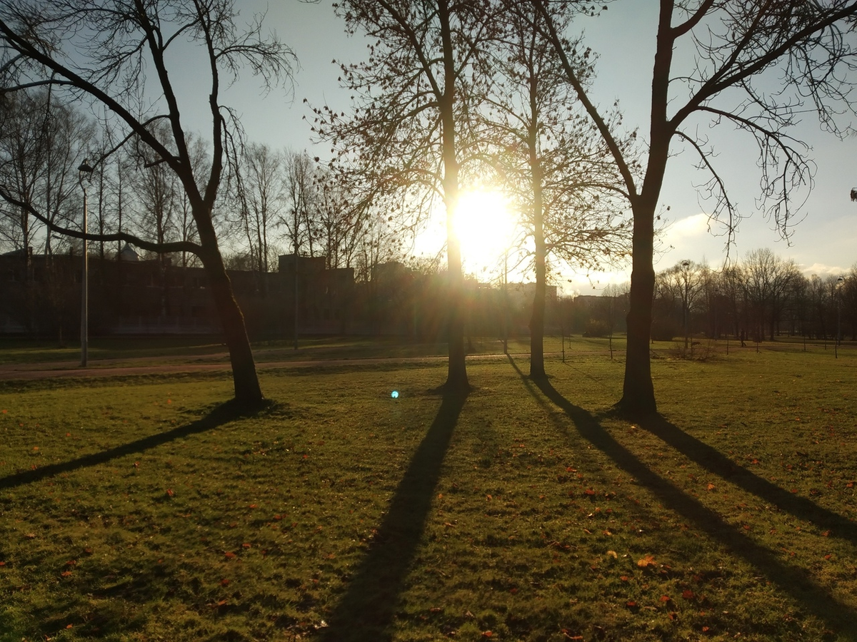 Пионерский парк. Фото автора