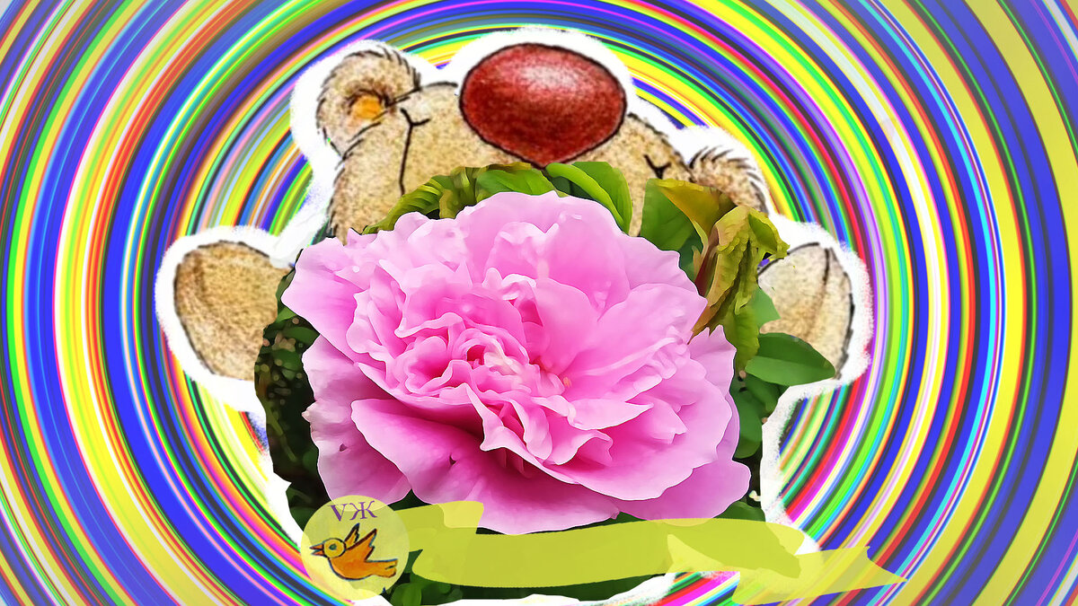 Делитесь своим мнением в комментариях