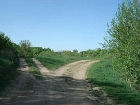 проселочная дорога