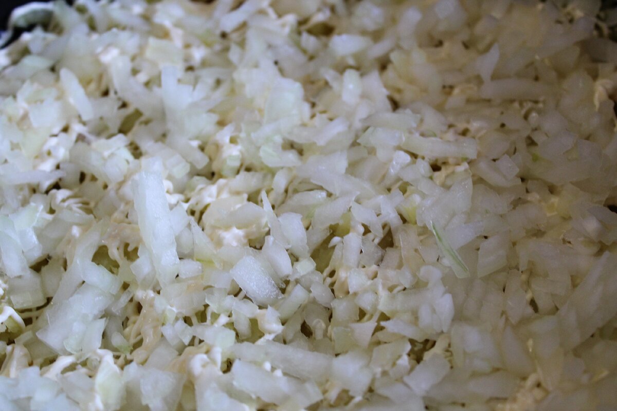 Репчатый лук