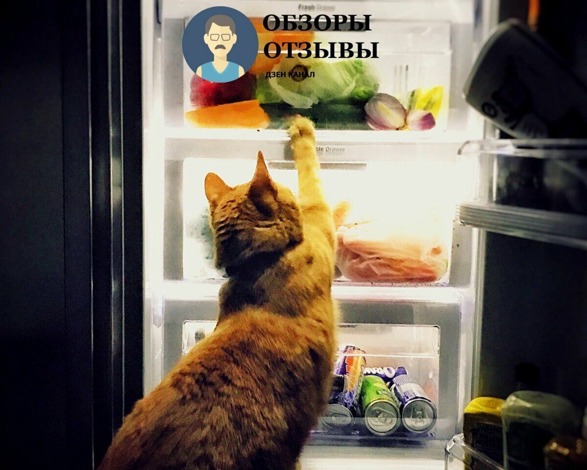 Выбираем надежный холодильник