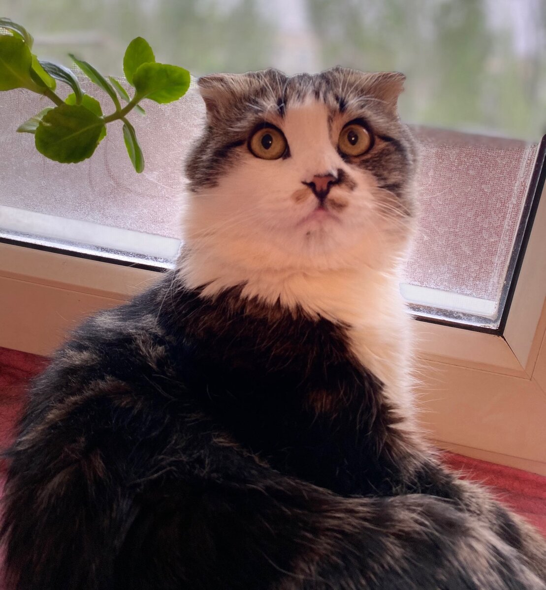 Кажется, Кузяка изменился... Старые фото Кузяки, которые еще никто не ...