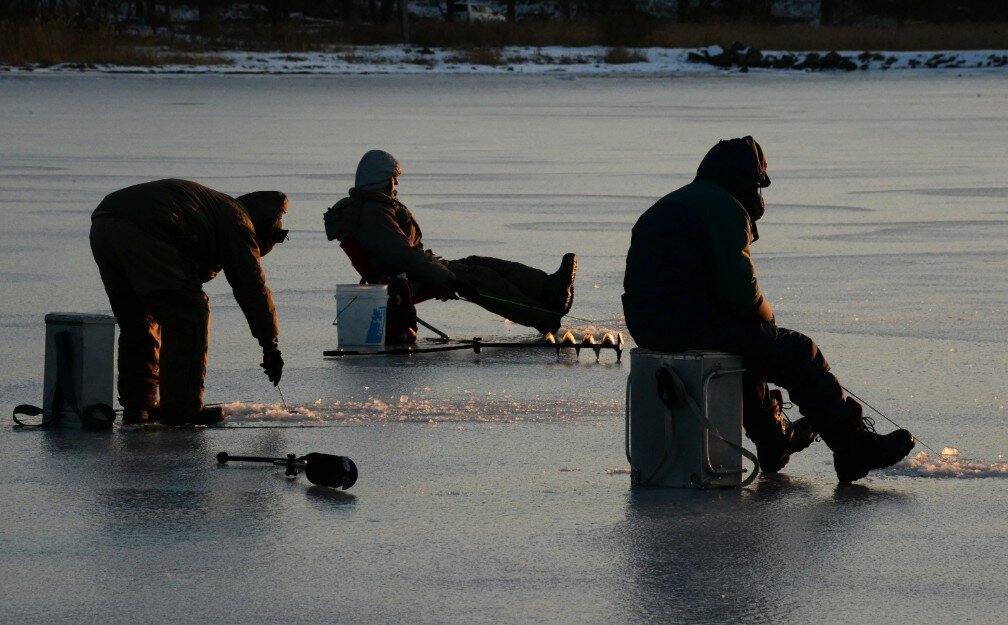 Фото для оформления с сайта life.ru