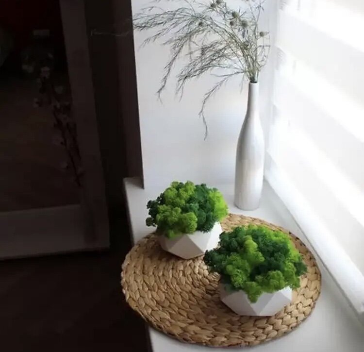 Кашпо со мхом добавит кухне уюта