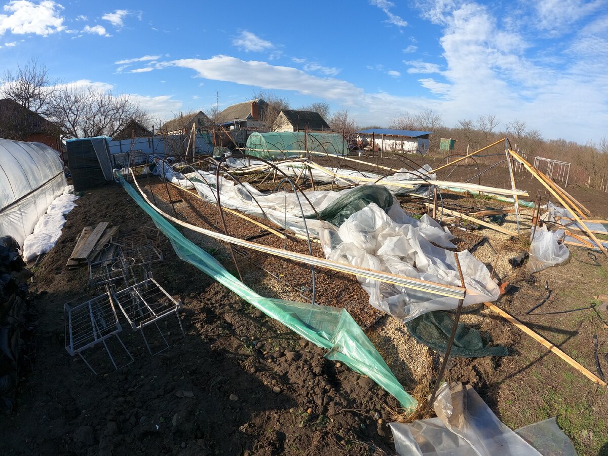 фото 10 февраля 2021 года