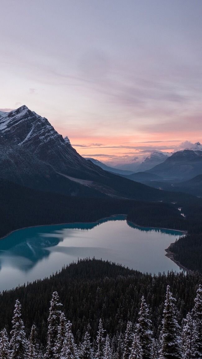 В тот момент, когда наберешься смелости поверить в то, чего ещё нет, твоя реальность начнёт меняться.