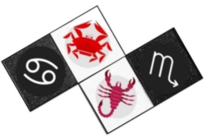 Любовная совместимость Рака и Скорпиона