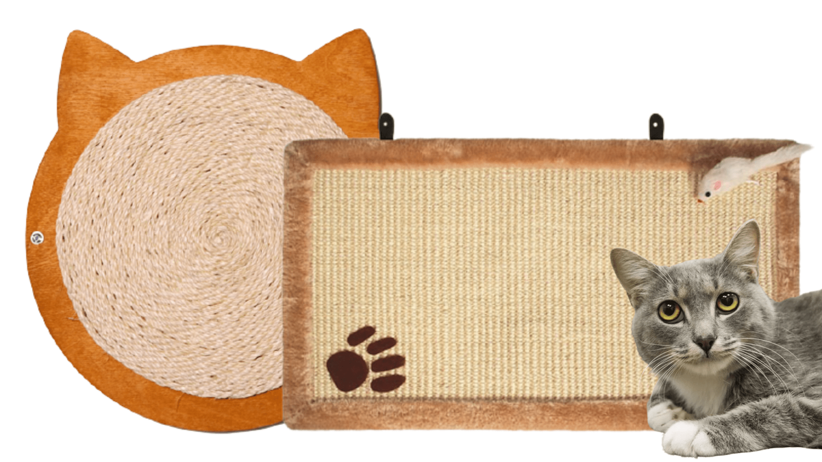 Домик, когтеточка для кошки своими руками (фото, мастер-класс, чертежи)