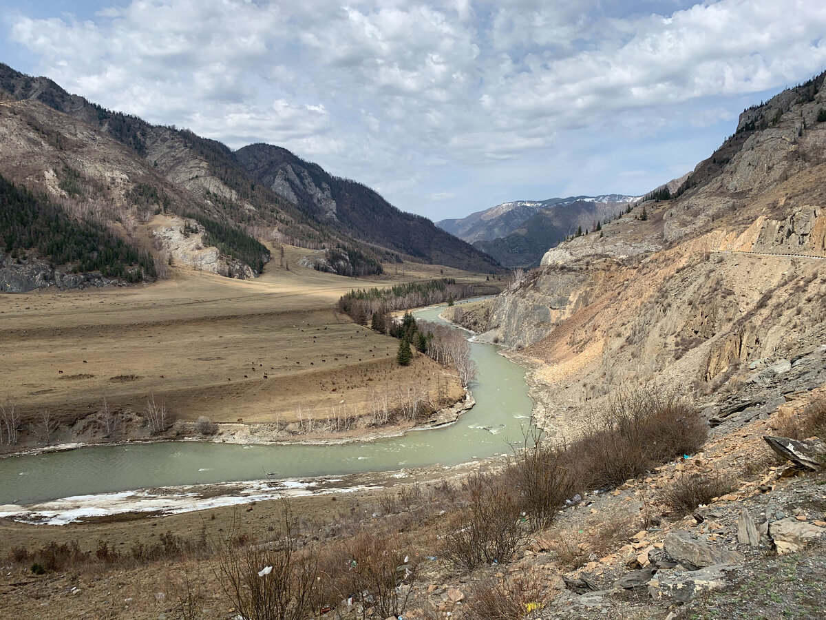 Катунь в конце апреля зеленая