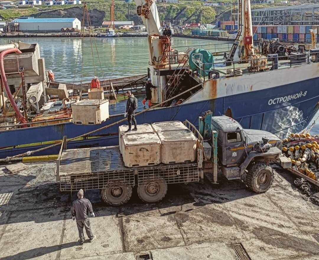 Прибытие на остров Шикотан.