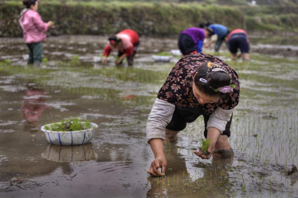 Изображение с сайта businessman.ru