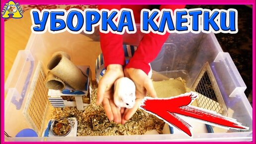 Клетка для кур до 96 голов 3-х ярусная с каркасом