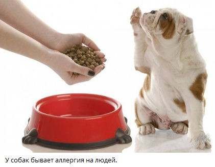 Взято из открытых источников 