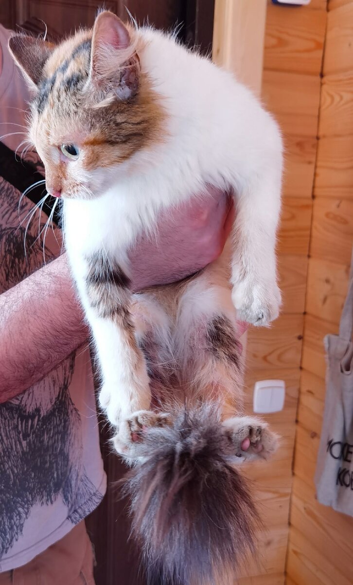 Мы назвали её Кенди