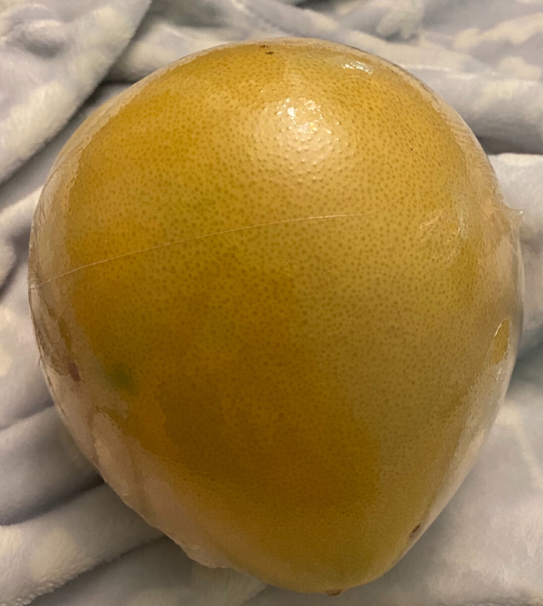 Помело из магазина «ВкусВилл» на вид было вполне себе приличным.