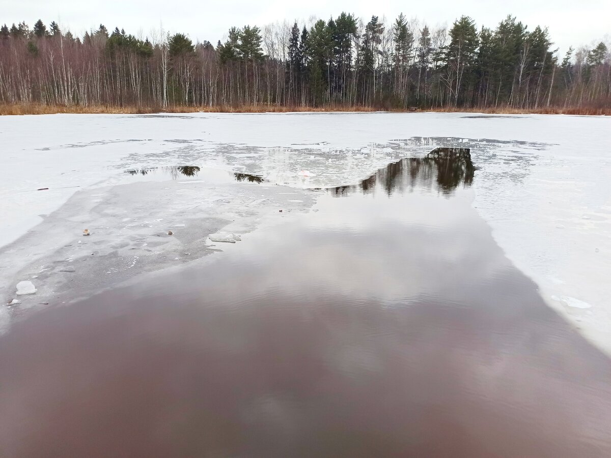 Озеро Черное , г.Зеленоград Московская область (Моржовый патруль 2021) |  Моржовый Патруль и друзья | Дзен