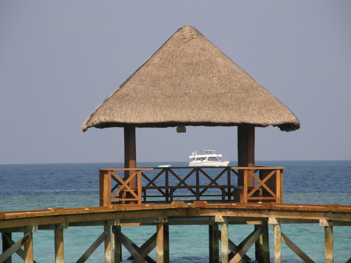 Катер в беседке. Фото автора