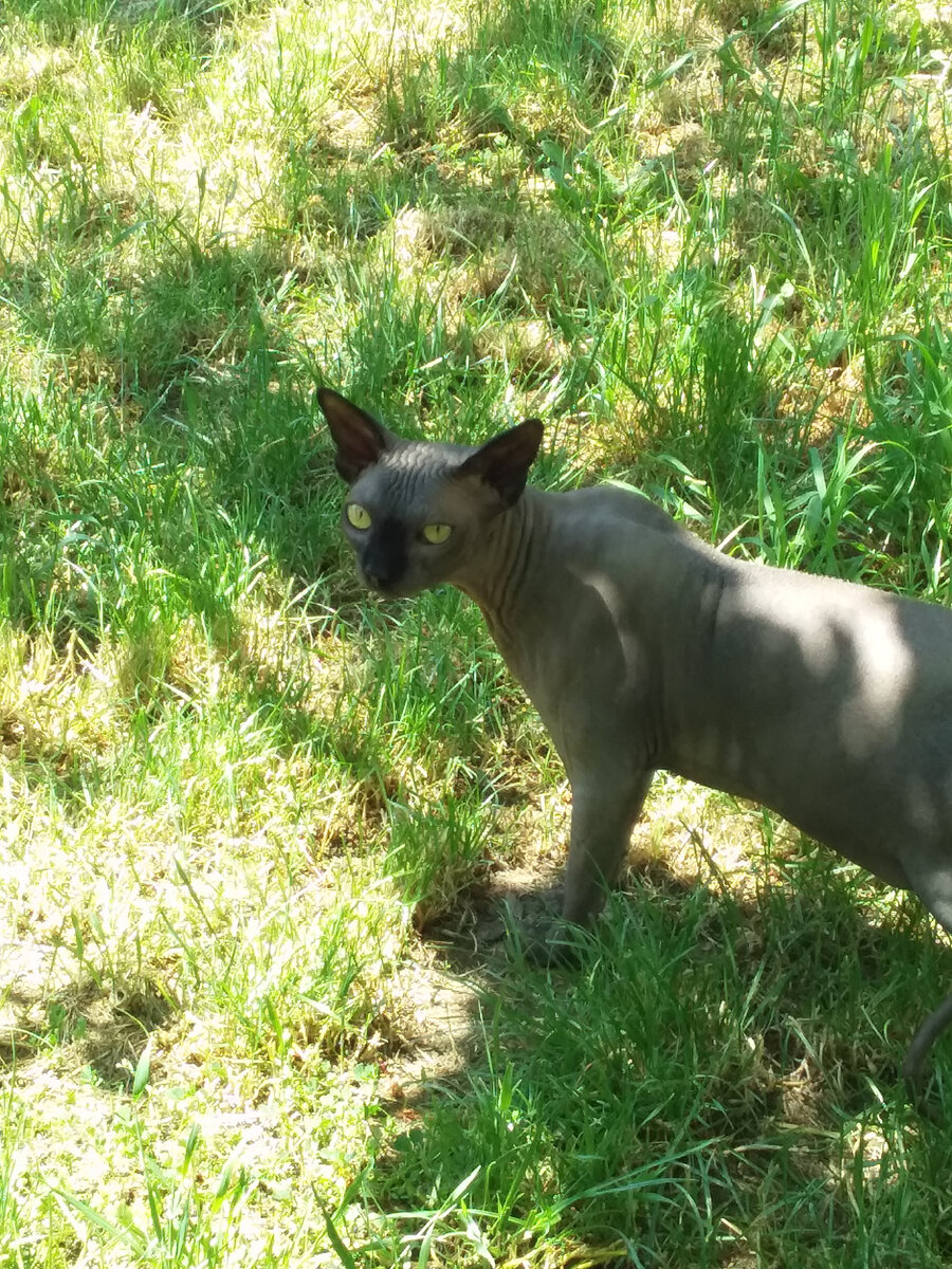 На прогулке