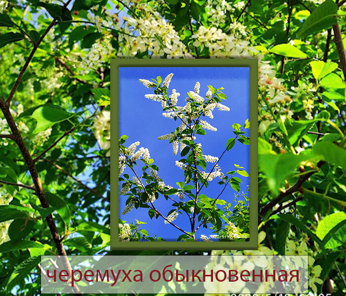 фото из личного архива