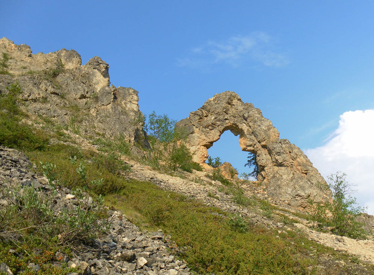 шарью река усинск