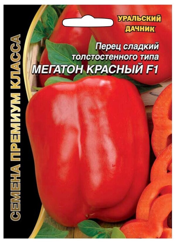 Фото из интернета.